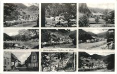 Sieber im Harz