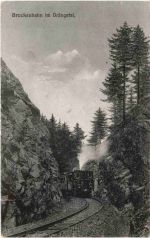 Brockenbahn im Drängetal