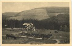 Hahnenklee - Oberharz