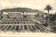Beni-Ounik de Figuig