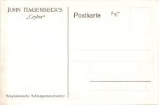 Ceylon - Singhalesische Schlangenbeschwörer