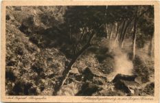 Formosa - Rohkampfergewinnung in den Bergen