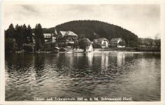 Titisee