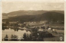 Titisee im Schwarzwald
