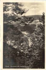 Triberg. Durchblick vom Wasserfall aus