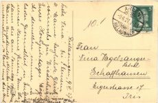 SINIGEN Hohentwiel mit Festspielhalle