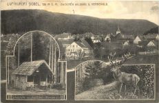 LUFTKURORT DOBEL, 720 M . M. ZWISCHEN WILDBAD URRENALB.