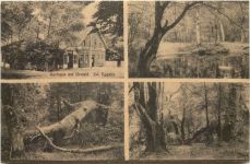 Kurhaus am Urwald - Zetel