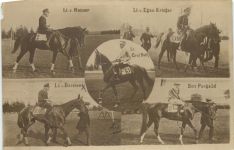 Reitsport