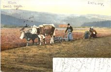 Landwirtschaft