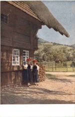 Gutachtal - Bauernhaus im Schwarzwald