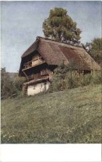 Schwarzwaldhaus im Gutachtal