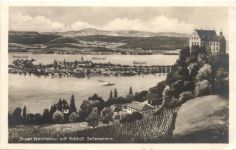 Insel Reichenau mit Schloss Salenstein