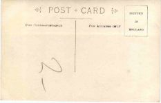 The Queen of the Belgians