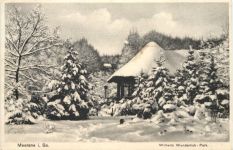 Meerane in Sachsen - Wilhelm Wunderlich Park im Winter