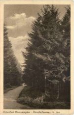 Ostseebad Brunshaupten - Hirschneese