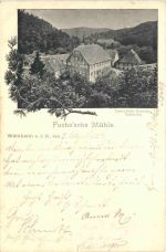 Weinheim - Fuchssche Mühle