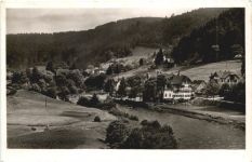 Schönmünzach im Murgtal - Hotel Waldhorn