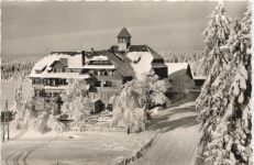 Kniebis-Lamm