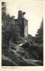Burgruine Falkensein Taunus