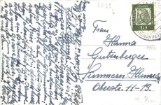 Weinort Steg bei Bacharach