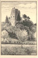 Ruine Schenkenburg