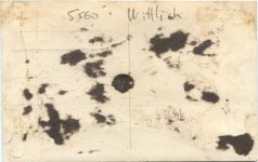 Wittlich