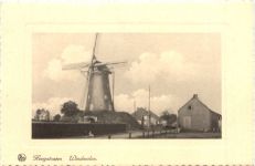 Hoogstraten - Windmolen