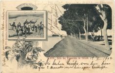 Caire - Allee des Pyramides de Ghizeh