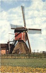 Holandse Molen - Windmühle