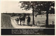Een jongen van Holland