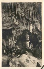 Postumia