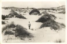 Hollandsch duinlandschap