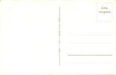 Hollandsch duinlandschap