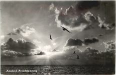 Ameland
