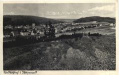 Waldfischbach im Pfälzerwald