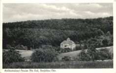 Beerfelden im Odenwald - Waldrestaurant Otto Zink