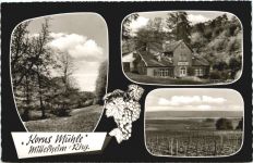 Mittelheim Rheingau - Korus Mühle