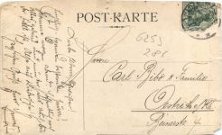Adamar - Einjährige 1909