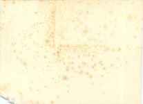 Oberwesel - Hans Höhn