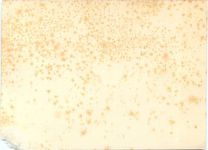 Oberwesel - Hans Höhn