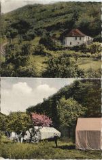 Stromberg Hunsrück - Jugendherberge Eckenrotherfels