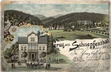 Gruss aus Schnepfenthal - Litho - Waltershausen