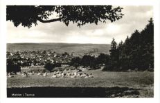 Miehlen im Taunus