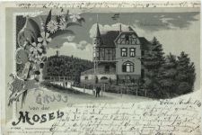 Waldfrieden bei Alf - Gruss von der Mosel - Litho