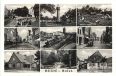Heide in holstein