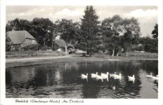 Undeloh - Am Dorfteich