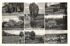 Behringen Lüneburger Heide