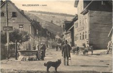 Wildemann im Harz