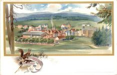 Hahnenklee bei Goslar - Litho